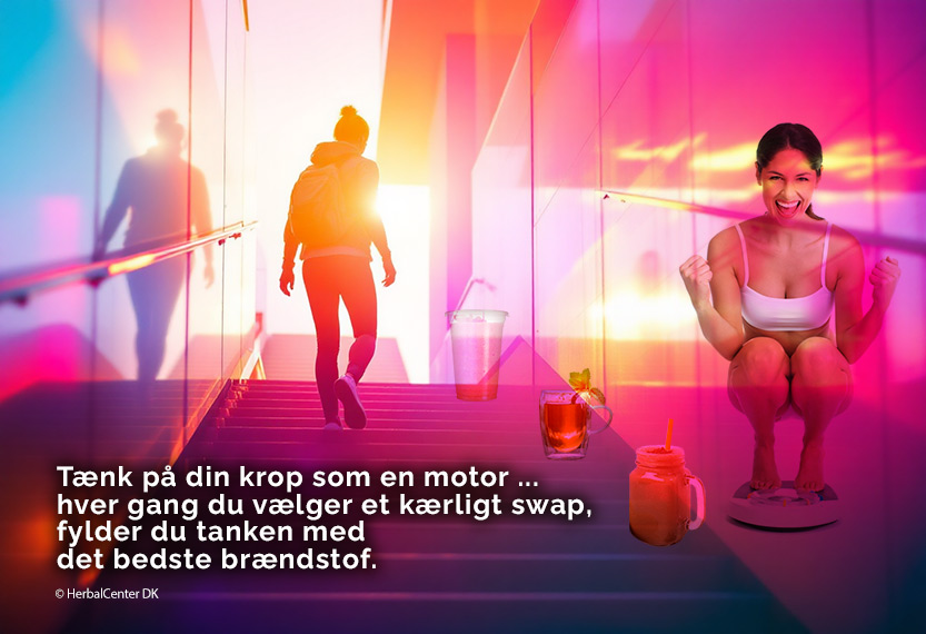 Herbalife taenk paa din krop som en motor med bedste braendstof ernaering taenk-paa-din-krop-som-en-motor-med-bedste-braendstof-ernaering