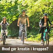 Hvad gør kreatin for kroppen?